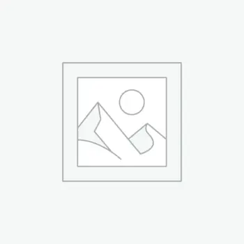 Gifts & Accessories